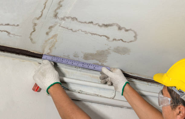 Reliable Mold Remediation contractor in Hennessey, OK by Water Damage Irwin